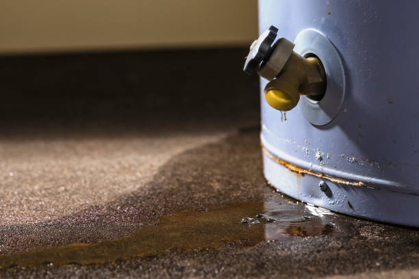 Best Flood damage cleanup  in Hendron, KY