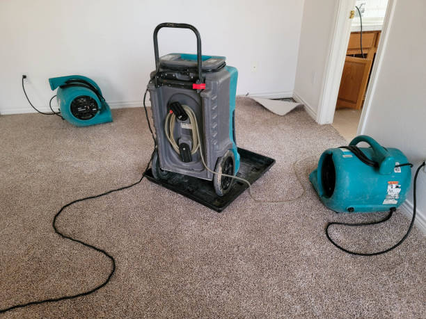 Carpet water damage restoration in Hendron, KY