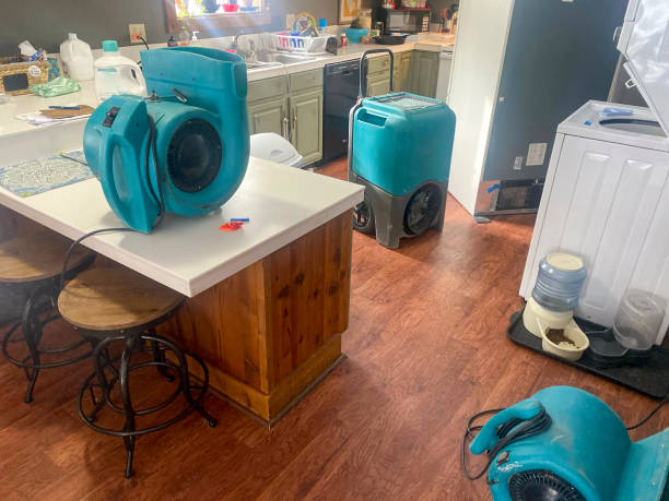 Best Residential water damage restoration  in Hendron, KY