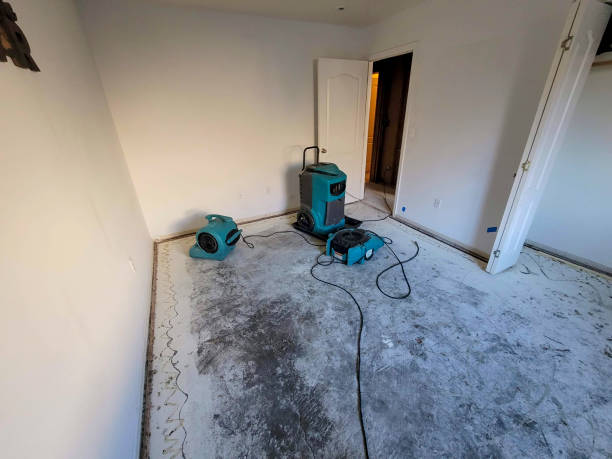 Best Water damage restoration mold remediation  in Hendron, KY