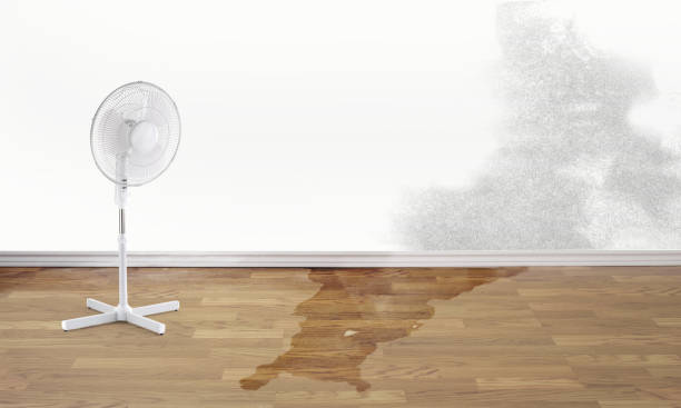 Best Water damage restoration insurance claims  in Hendron, KY