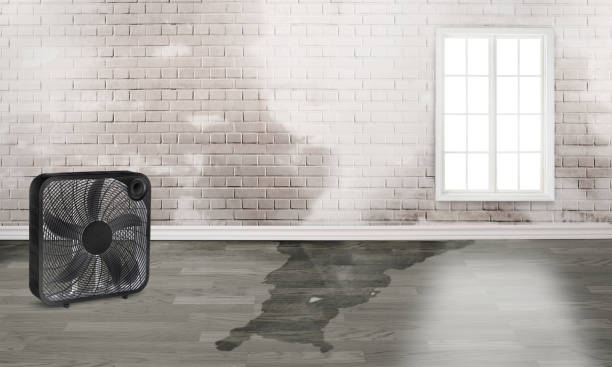 Water damage restoration insurance claims in Hendron, KY