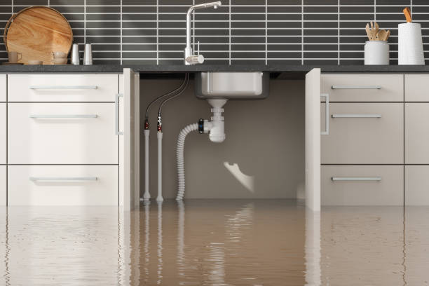 Best Sewage cleanup and water damage restoration  in Hendron, KY