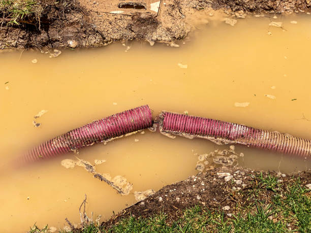Best Emergency water damage restoration  in Hendron, KY
