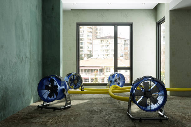 Water damage restoration mold remediation in Hendron, KY