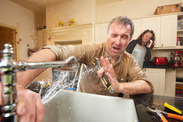 Best Mold removal after water damage  in Hendron, KY